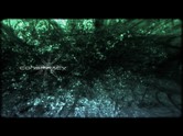 Chaos Theory
